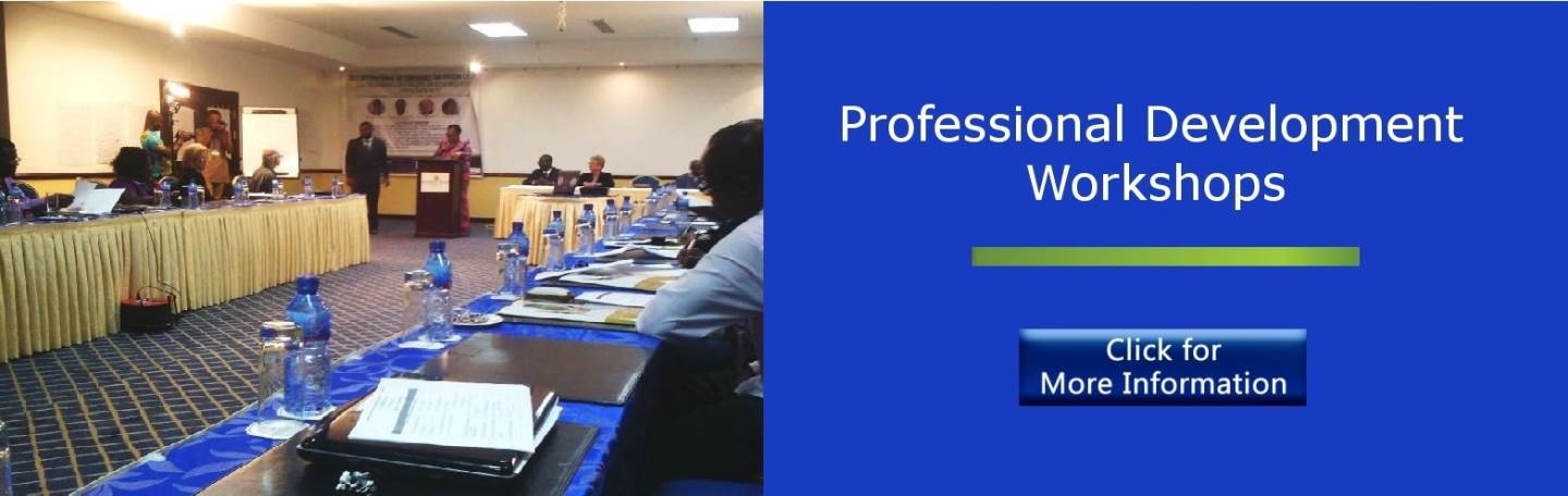 Professional development and capacity building workshop